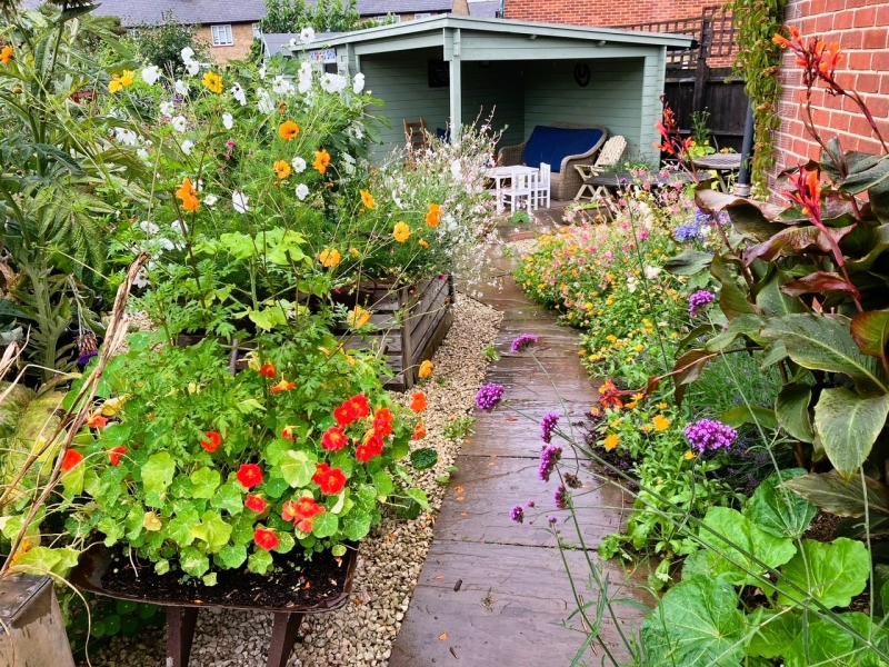 Roehampton Garden Society Allotments